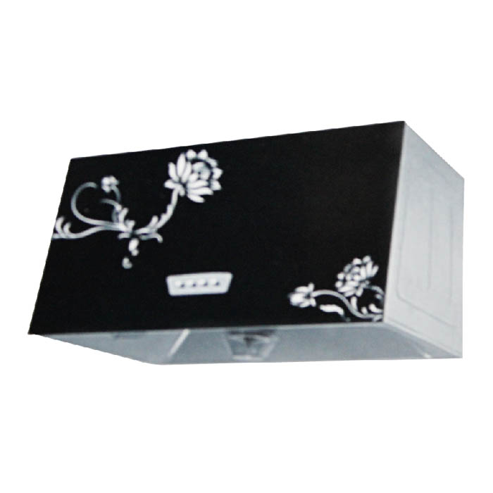 CXW-180-18L2 29号玻璃